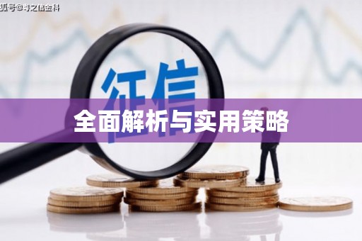 吴忠全面解析与实用策略