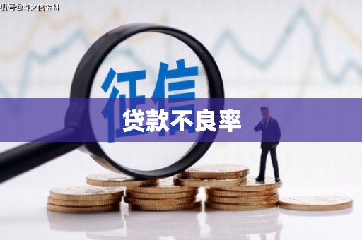 吴忠贷款不良率