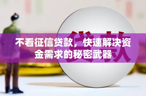 吴忠不看征信贷款，快速解决资金需求的秘密武器