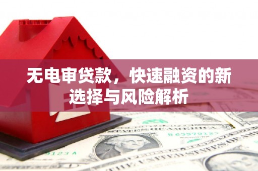 吴忠无电审贷款，快速融资的新选择与风险解析