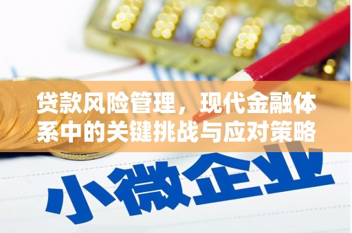 吴忠贷款风险管理，现代金融体系中的关键挑战与应对策略