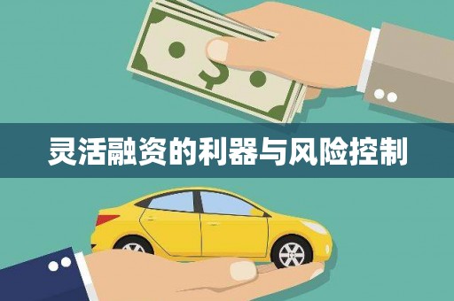 吴忠灵活融资的利器与风险控制