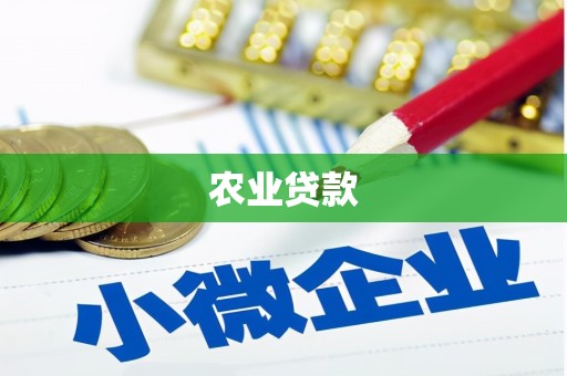 吴忠农业贷款