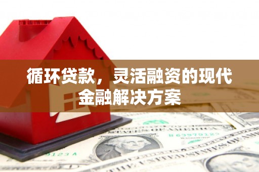 吴忠循环贷款，灵活融资的现代金融解决方案