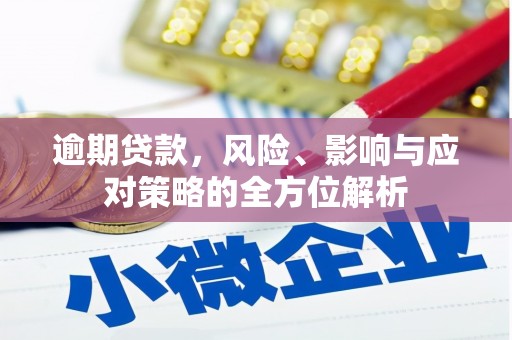 吴忠逾期贷款，风险、影响与应对策略的全方位解析