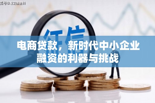 吴忠电商贷款，新时代中小企业融资的利器与挑战