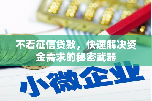 吴忠不看征信贷款，快速解决资金需求的秘密武器