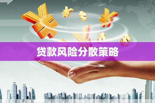 吴忠贷款风险分散策略