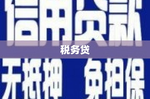 吴忠税务贷
