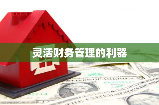 吴忠灵活财务管理的利器