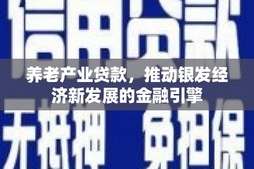 吴忠养老产业贷款，推动银发经济新发展的金融引擎