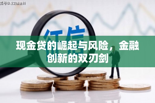 吴忠现金贷的崛起与风险，金融创新的双刃剑