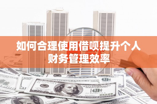 吴忠如何合理使用借呗提升个人财务管理效率