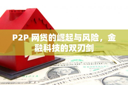 吴忠P2P 网贷的崛起与风险，金融科技的双刃剑