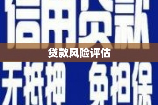 吴忠贷款风险评估