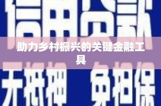 吴忠助力乡村振兴的关键金融工具
