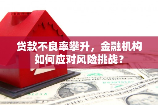 吴忠贷款不良率攀升，金融机构如何应对风险挑战？