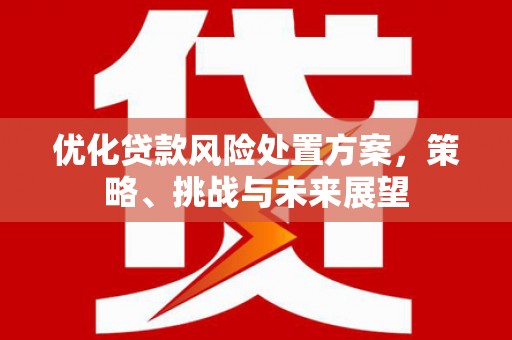 吴忠优化贷款风险处置方案，策略、挑战与未来展望
