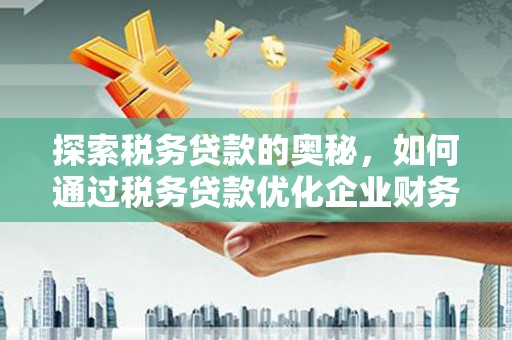 吴忠探索税务贷款的奥秘，如何通过税务贷款优化企业财务