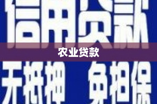 吴忠农业贷款