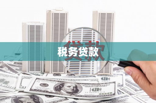 吴忠税务贷款
