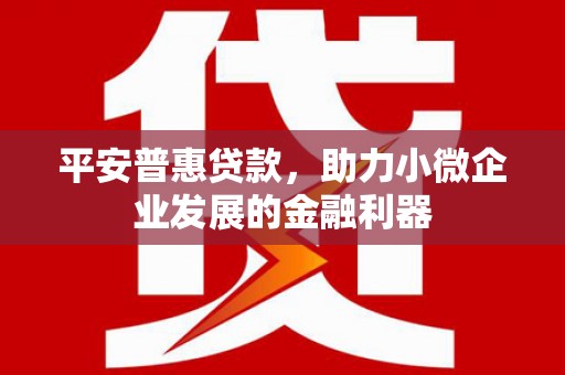 吴忠平安普惠贷款，助力小微企业发展的金融利器