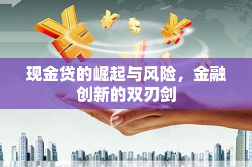吴忠现金贷的崛起与风险，金融创新的双刃剑