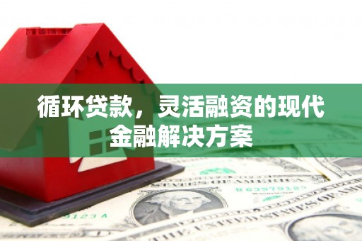 吴忠循环贷款，灵活融资的现代金融解决方案