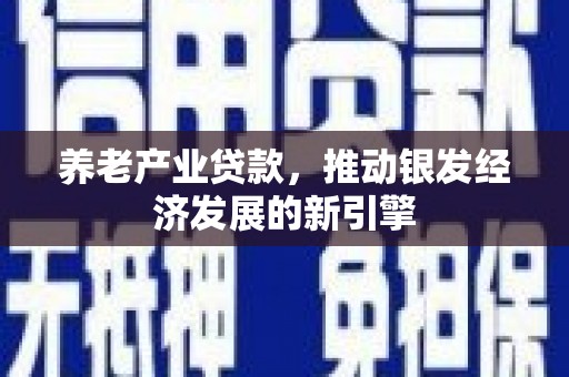 吴忠养老产业贷款，推动银发经济发展的新引擎
