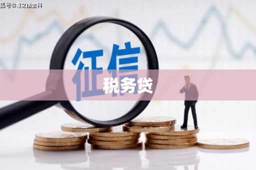 吴忠税务贷