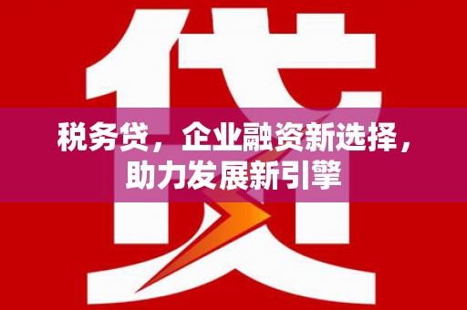 吴忠税务贷，企业融资新选择，助力发展新引擎