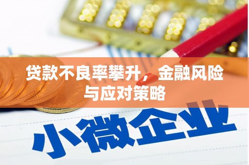 吴忠贷款不良率攀升，金融风险与应对策略