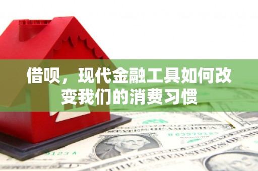 吴忠借呗，现代金融工具如何改变我们的消费习惯