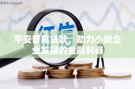 吴忠平安普惠贷款，助力小微企业发展的金融利器