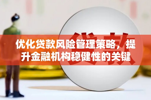 吴忠优化贷款风险管理策略，提升金融机构稳健性的关键