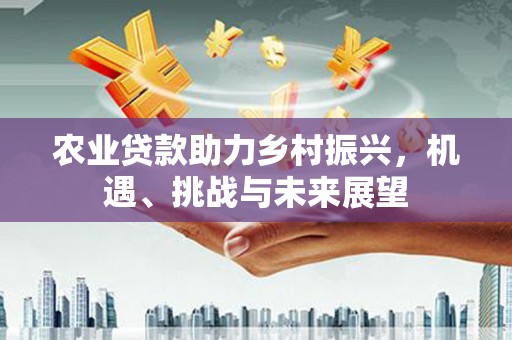 吴忠农业贷款助力乡村振兴，机遇、挑战与未来展望