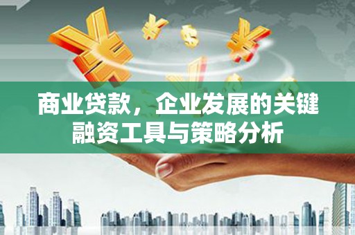 吴忠商业贷款，企业发展的关键融资工具与策略分析