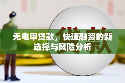 吴忠无电审贷款，快速融资的新选择与风险分析