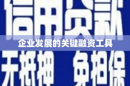 吴忠企业发展的关键融资工具