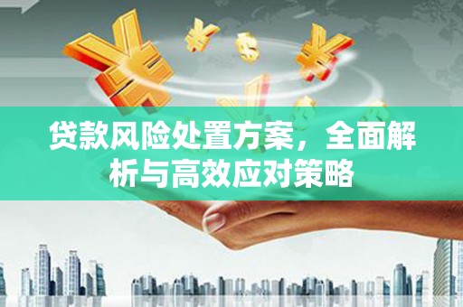 吴忠贷款风险处置方案，全面解析与高效应对策略