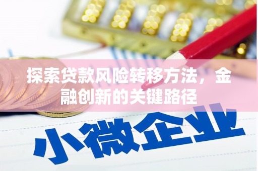 吴忠探索贷款风险转移方法，金融创新的关键路径