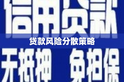 吴忠贷款风险分散策略