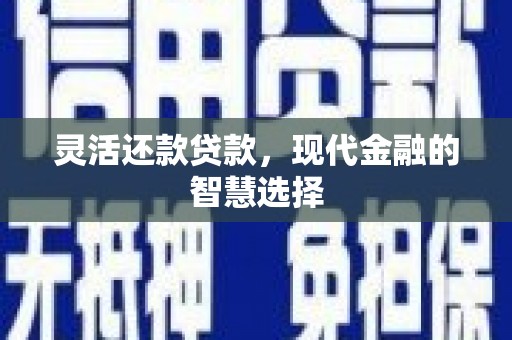 吴忠灵活还款贷款，现代金融的智慧选择