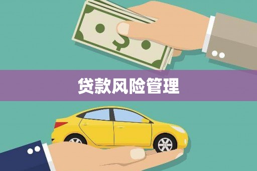 吴忠贷款风险管理