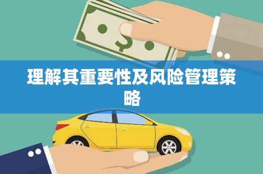 吴忠理解其重要性及风险管理策略