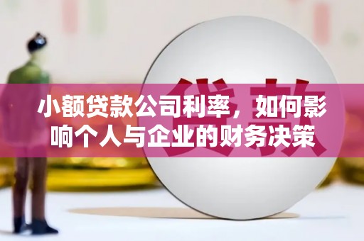 吴忠小额贷款公司利率，如何影响个人与企业的财务决策