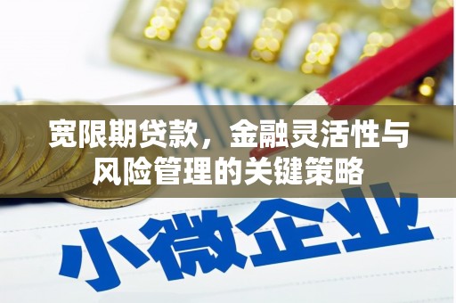 吴忠宽限期贷款，金融灵活性与风险管理的关键策略