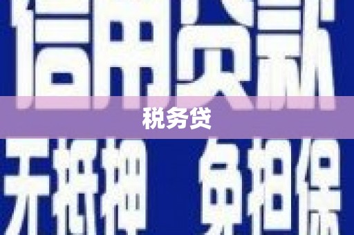 吴忠税务贷
