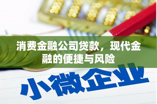 吴忠消费金融公司贷款，现代金融的便捷与风险