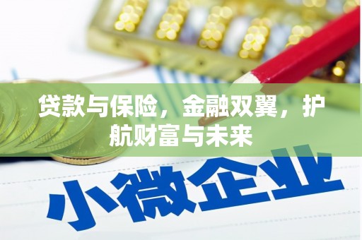 吴忠贷款与保险，金融双翼，护航财富与未来